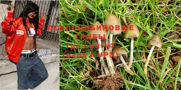 бутират Алапаевск