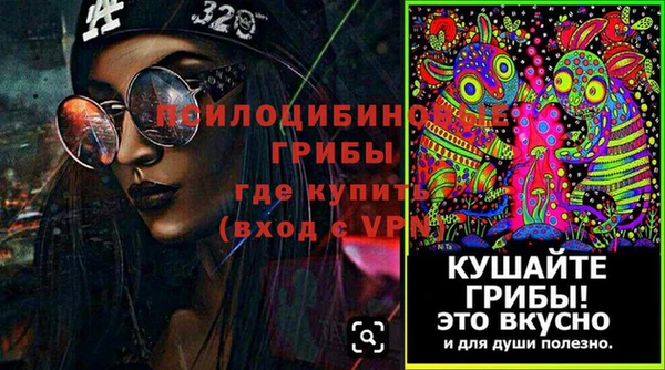 ГАЛЛЮЦИНОГЕННЫЕ ГРИБЫ Куйбышев