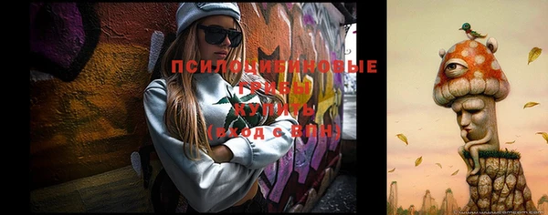 спиды Краснослободск