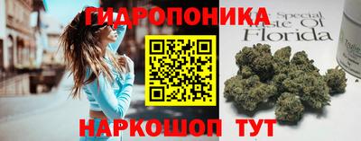 прущие крисы Ипатово