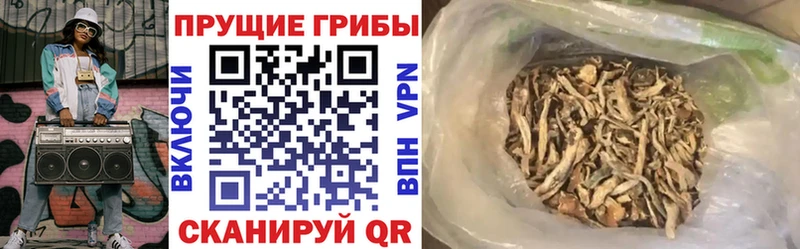Псилоцибиновые грибы Psilocybe  Котовск 