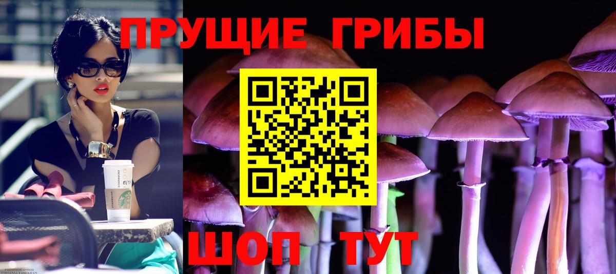 Котовск  Галлюциногенные грибы прущие грибы  Вход с VPN 