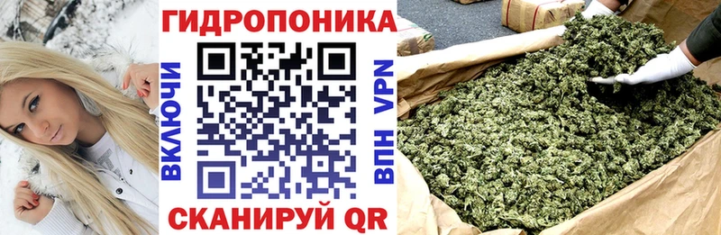 МАРИХУАНА OG Kush  ОМГ ОМГ как зайти  Котовск  где купить наркоту 