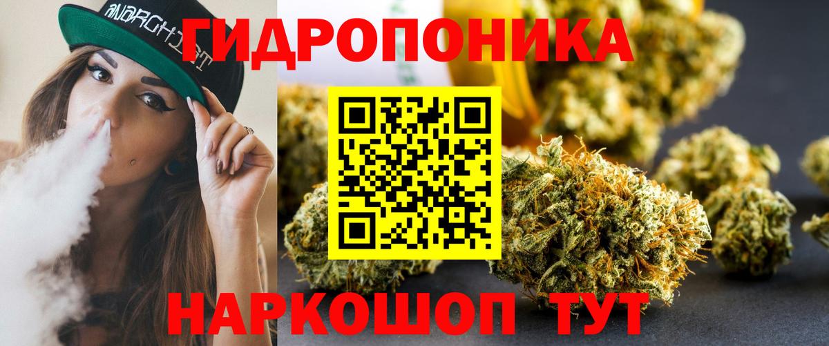 Канабис ГИДРОПОН Котовск